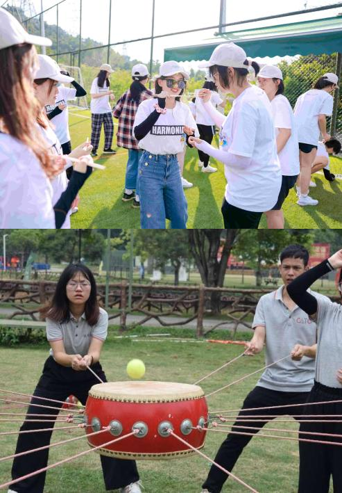 优化团队协作的理想选择——广东春季团建案例分析