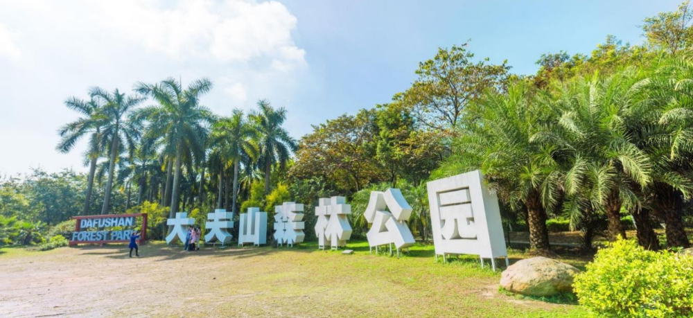 鹰团建大夫山拓展基地：广州企业团建首选目的地